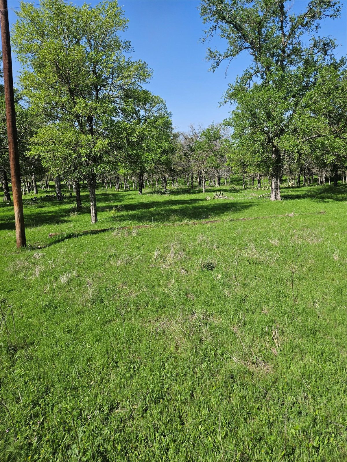 View 1988 Cr 116 Rd in Rogers 1988 Cr 116 Rd, photo 1 of 17, Rogers, Rogers, TX