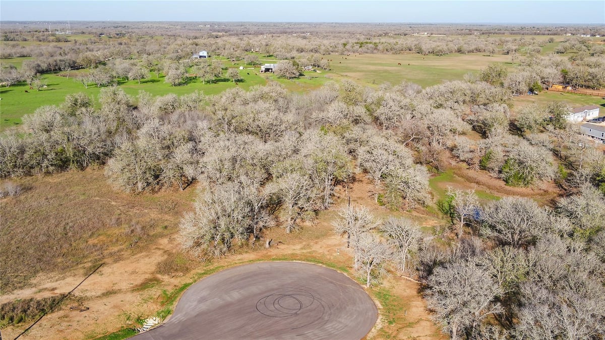View 199 AZALEA Ct in TUMBLEWEED ESTATES PH 3 199 AZALEA Ct - front exterior - Luxury lot in TUMBLEWEED ESTATES PH 3, Dale, TX