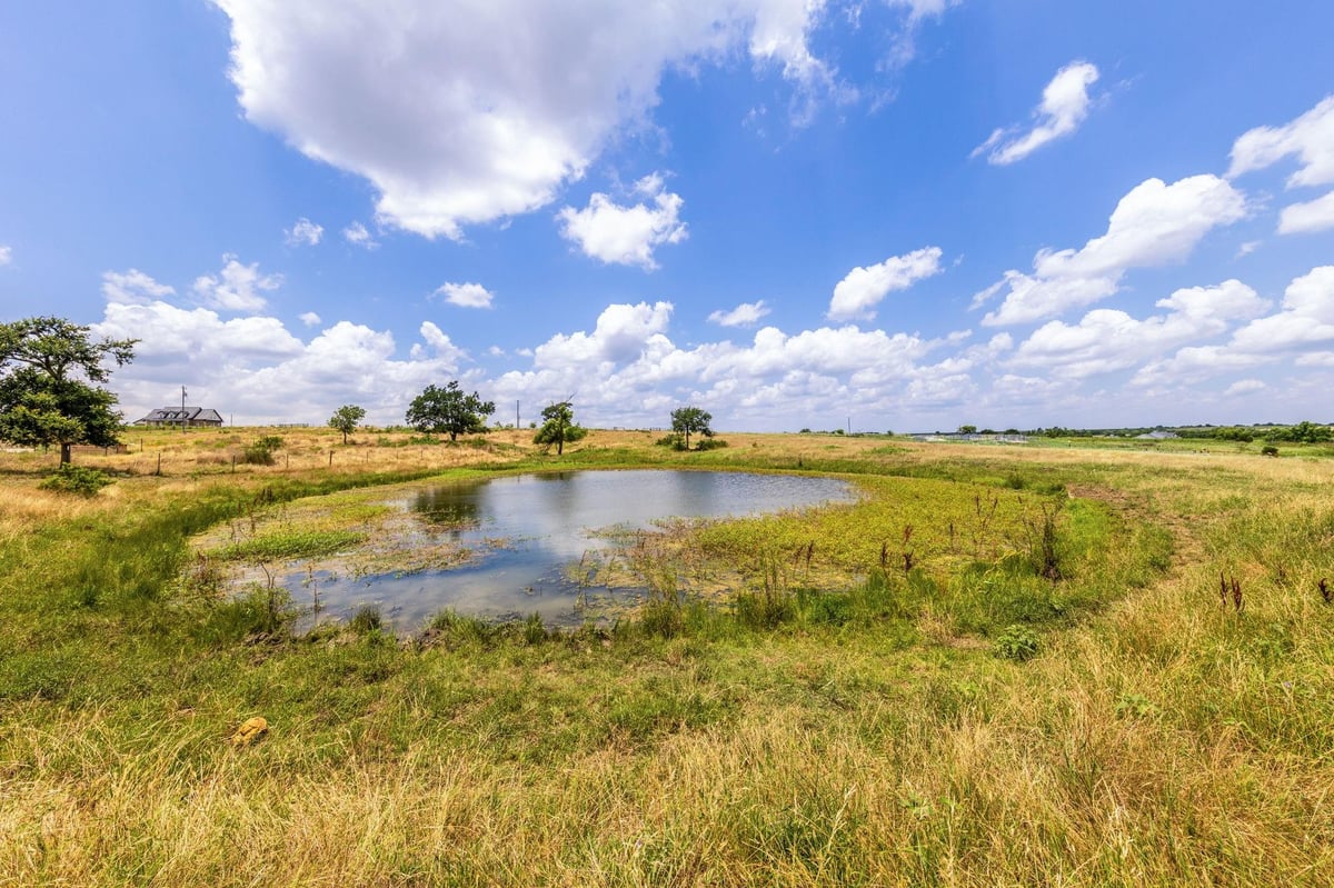 View 1997 County Rd 464 in None 1997 County Rd 464 - front exterior - Luxury home in None, Coupland, TX