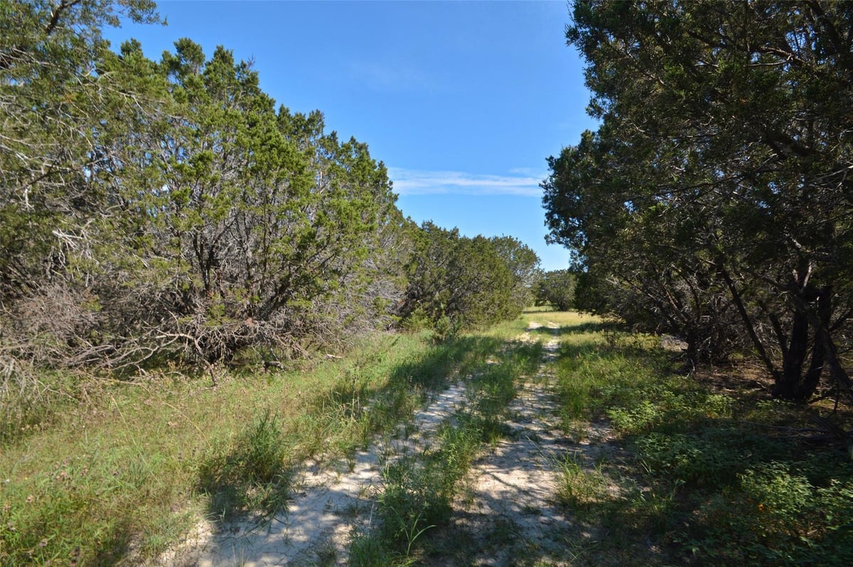 View 2 CR 2268 Rd 2 CR 2268 Rd - front exterior - Luxury home in Lampasas, TX