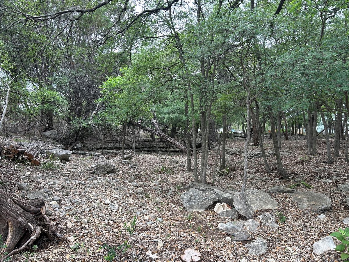 View 2 W El Camino Real in Eagle Rock Heights 2 W El Camino Real - front exterior - Luxury lot in Eagle Rock Heights, Wimberley, TX