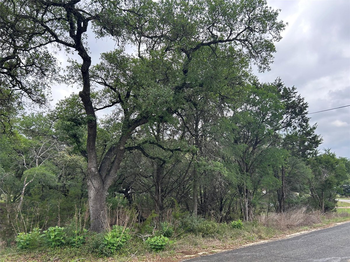 Primary bedroom at 2 W El Camino Real - Eagle Rock Heights, Wimberley, TX