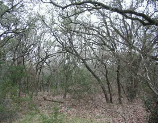 View 200 Arrowhead PASS 200 Arrowhead PASS - front exterior - Luxury lot in Wimberley, TX