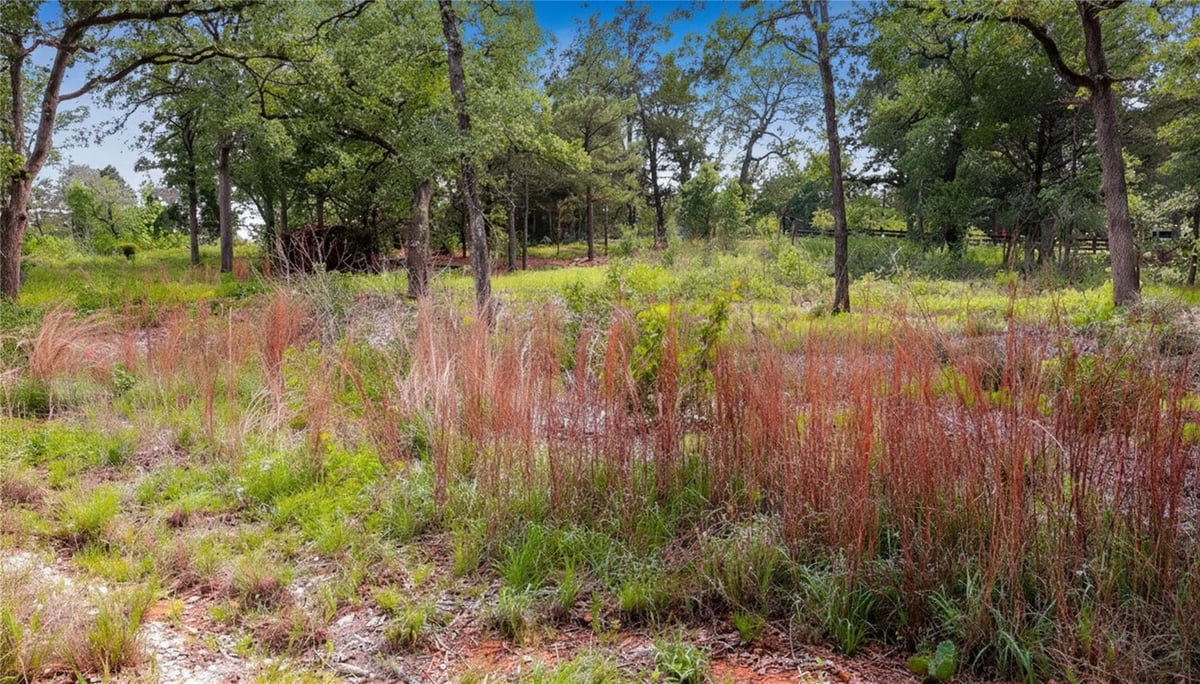 View 200 Cheyenne DR in Lake Thunderbird 200 Cheyenne DR - property photo 1 - Luxury lot in Lake Thunderbird, Smithville, TX