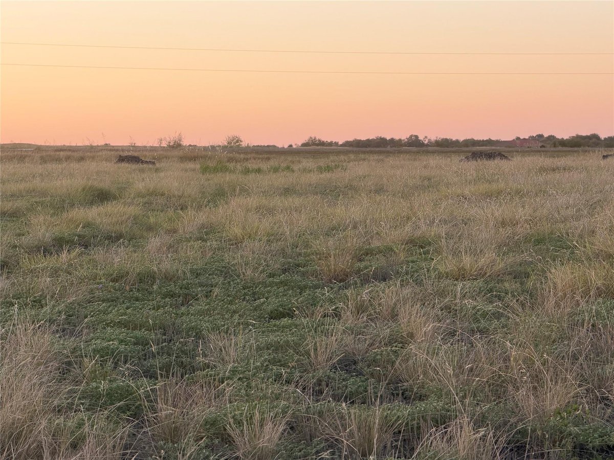 View 200 Tigerlily WAY in Phase 1 Amended The Cove 200 Tigerlily WAY - property photo 1 - Luxury lot in Phase 1 Amended The Cove, Thrall, TX