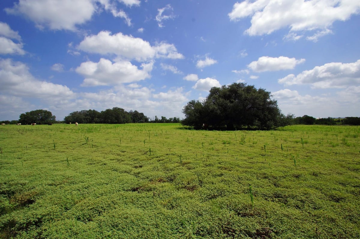 Living area at 2002 County Road 276 - 200 Acres, Bertram, TX