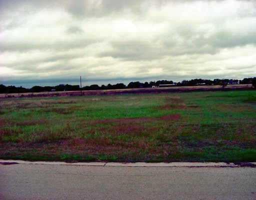 View 201 Courtnees Way 201 Courtnees Way - property photo 1 - Luxury lot in Georgetown, TX