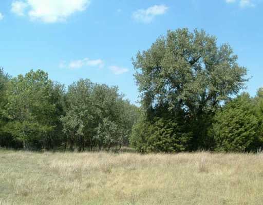 View 201 N Showhorse DR 201 N Showhorse DR - front exterior - Luxury lot in Liberty Hill, TX