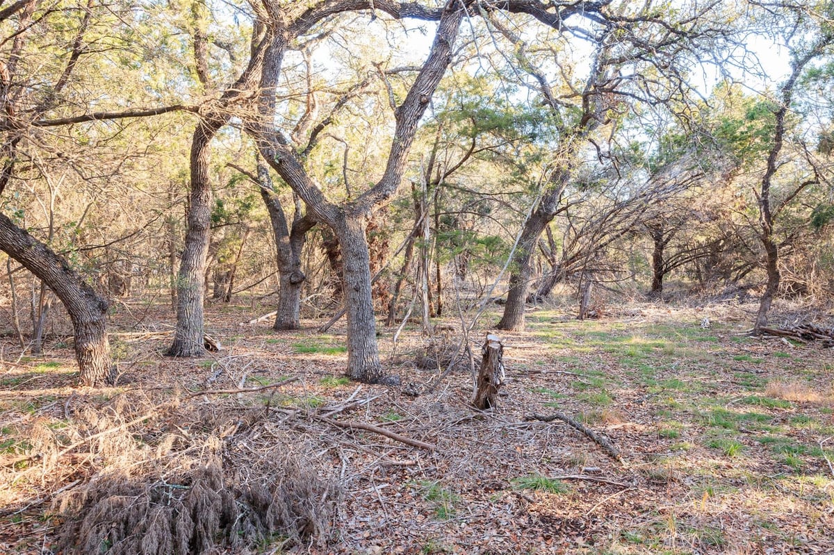 View 202, 204, 208 Thomas Oaks DR in River Oaks Of Wimberley Unit 1 202, 204, 208 Thomas Oaks DR - front exterior - Luxury lot in River Oaks Of Wimberley Unit 1, Wimberley, TX