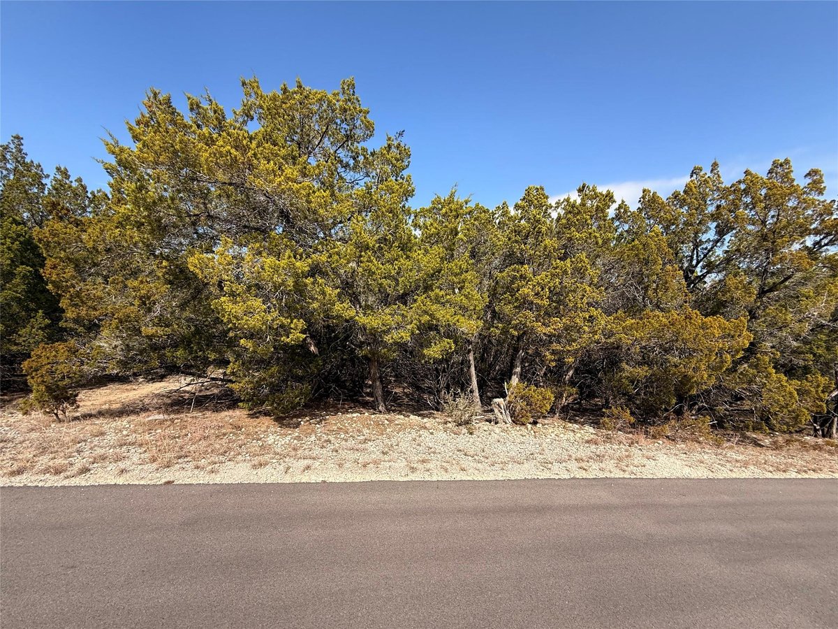 View 20206 Lee LN in Highland Lake Estates Sec 02 20206 Lee LN - property photo 1 - Luxury lot in Highland Lake Estates Sec 02, Lago Vista, TX