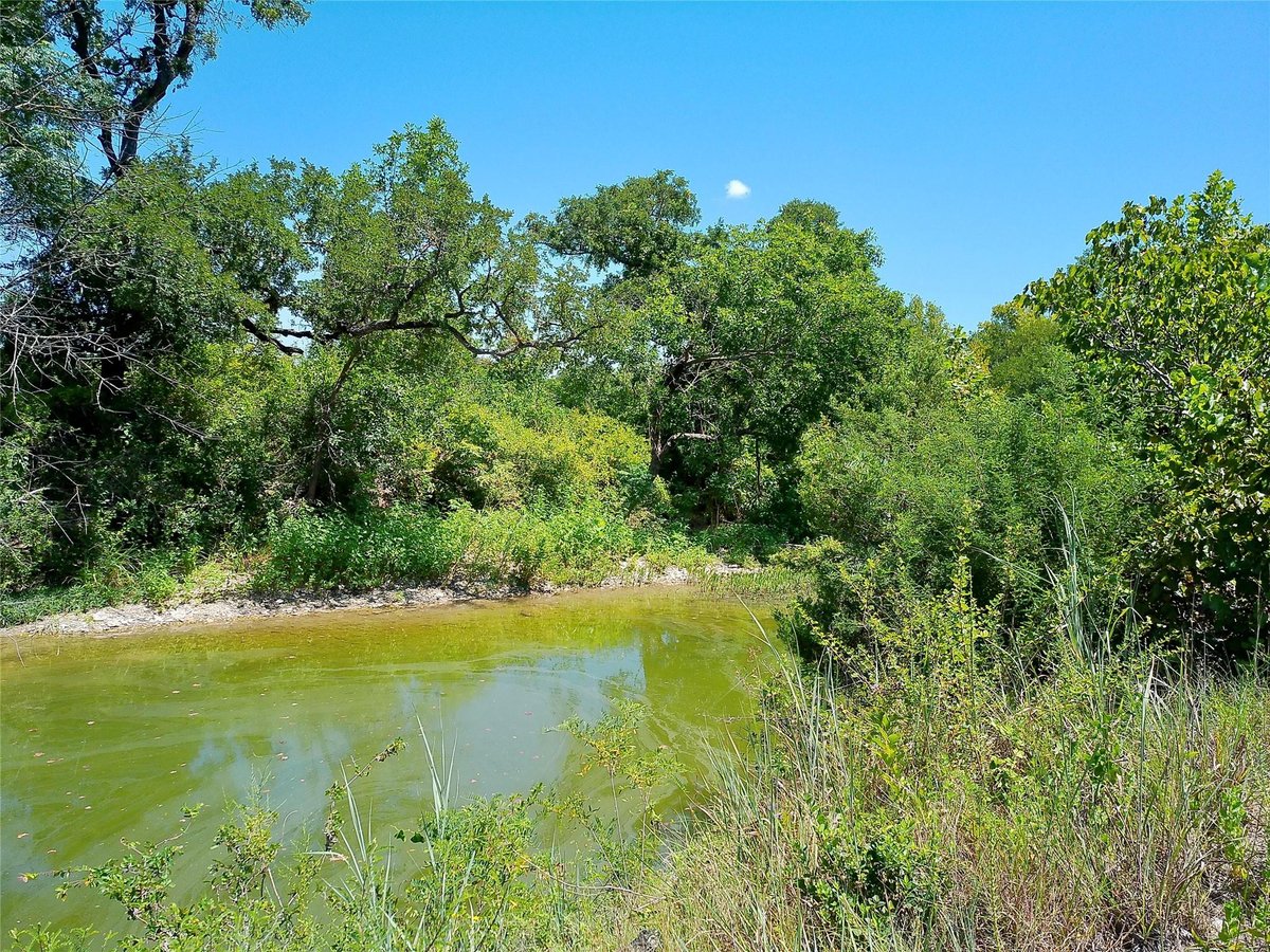 View 204 Serenity DR in SERENITY SPRINGS 204 Serenity DR - property photo 1 - Luxury lot in SERENITY SPRINGS, Liberty Hill, TX