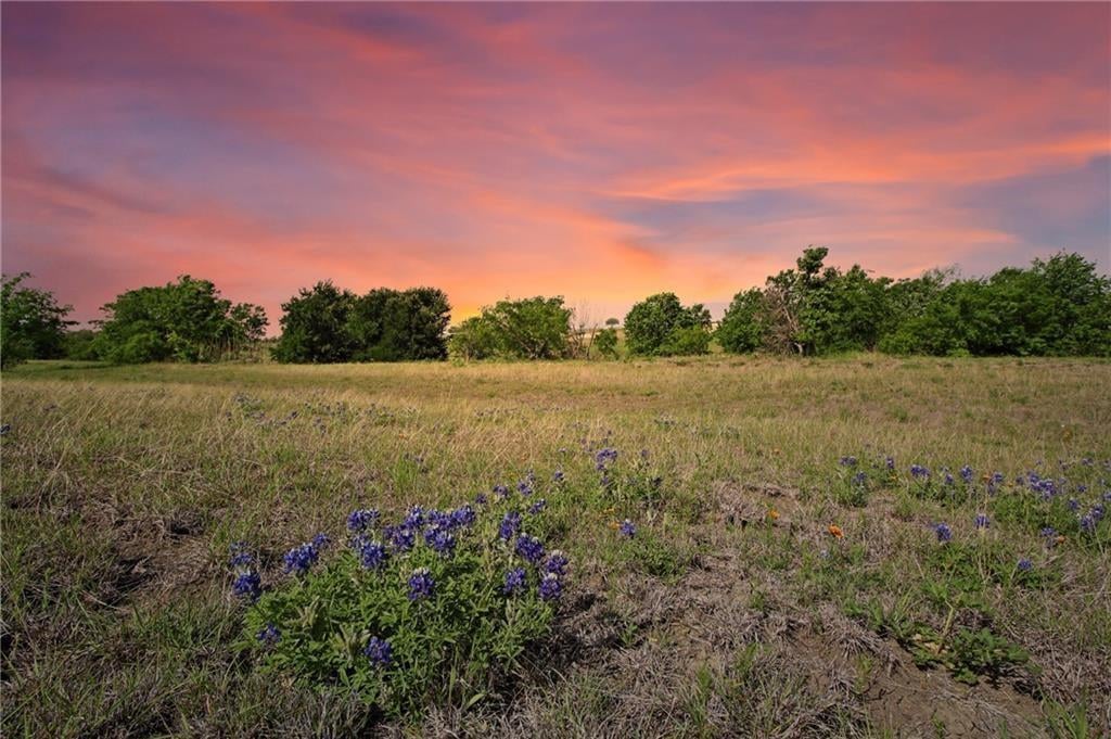 View 20512 Cameron Rd 20512 Cameron Rd - view with 20512 Cameron Rd in Coupland - Luxury lot in Coupland, TX