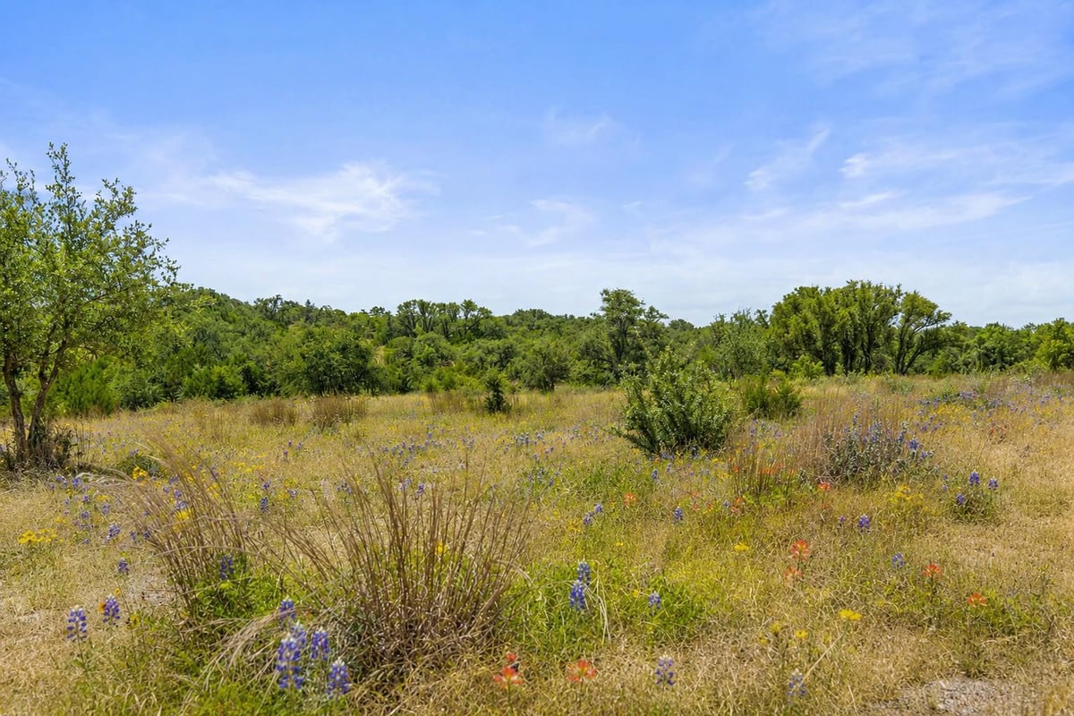 View 207 Verbena RD in The Preserve at Walnut Springs 207 Verbena RD - property photo 1 - Luxury lot in The Preserve at Walnut Springs, Johnson City, TX