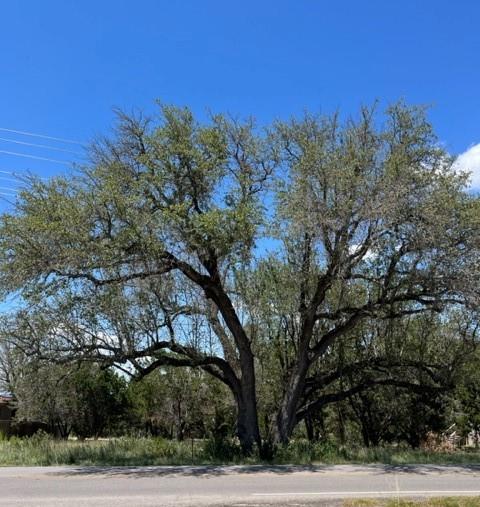 View 20703 High DR in Country Club Estates, Sec 9 20703 High DR - front exterior - Luxury lot in Country Club Estates, Sec 9, Lago Vista, TX