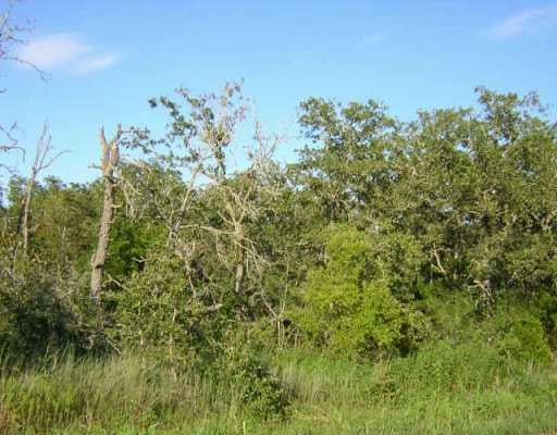 20706 Delorio - front exterior - Luxury lot in Manor, TX