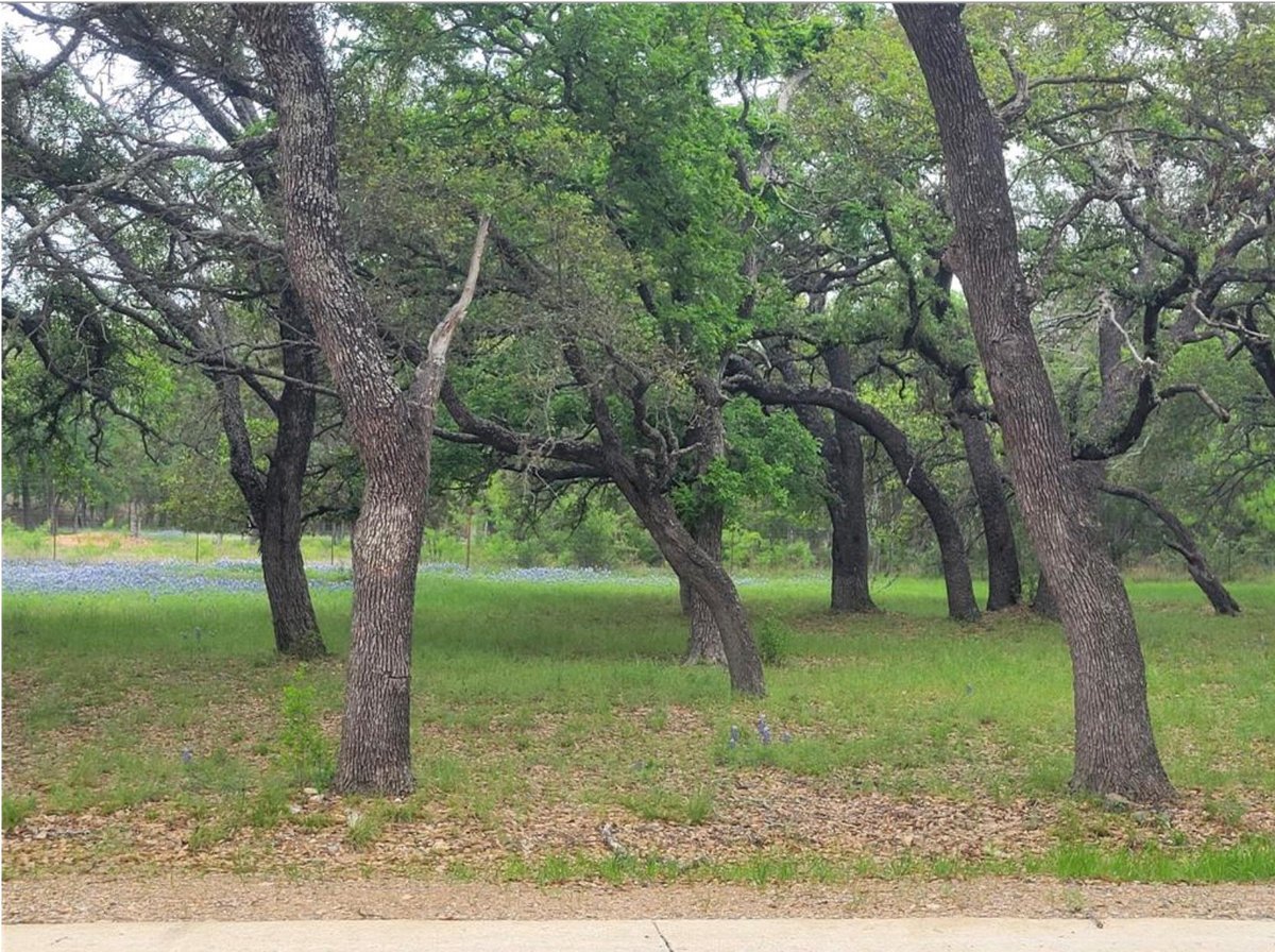 208 Cactus COR - front exterior - Luxury lot in Horseshoe Bay West, Horseshoe Bay, TX