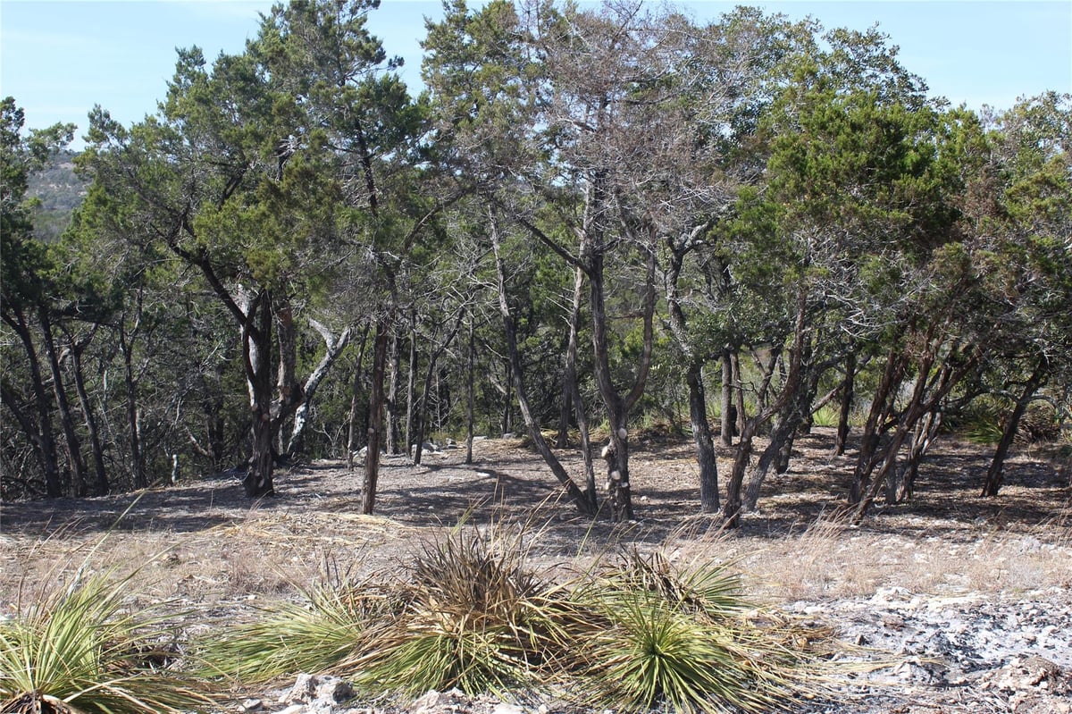 Primary bedroom at 2102 Montell Rd - Hill Country Ranches, Wimberley, TX