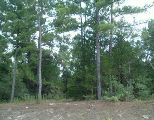 View 211 Pony Express DR 211 Pony Express DR - front exterior - Luxury lot in Smithville, TX