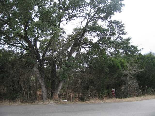View 21101 Greenpark DR 21101 Greenpark DR - front exterior - Luxury lot in Lago Vista, TX