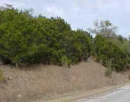 View 21306 Wyoming PASS 21306 Wyoming PASS - front exterior - Luxury lot in Lago Vista, TX