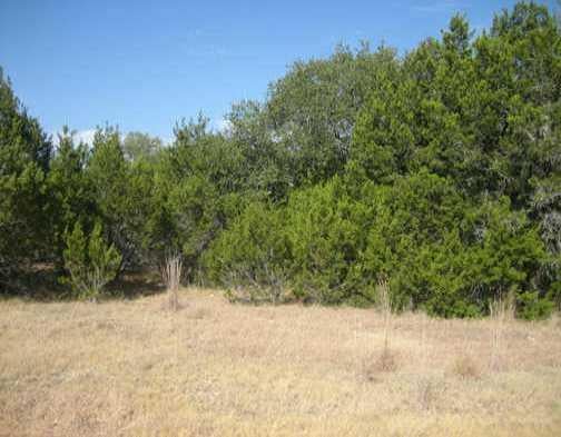 View 21327 Paseo De Vaca ST 21327 Paseo De Vaca ST - front exterior - Luxury lot in Lago Vista, TX