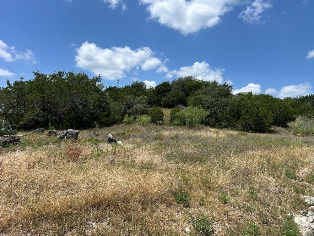 View 21408 Noack HL in Noack Hill 21408 Noack HL - property photo 1 - Luxury lot in Noack Hill, Spicewood, TX