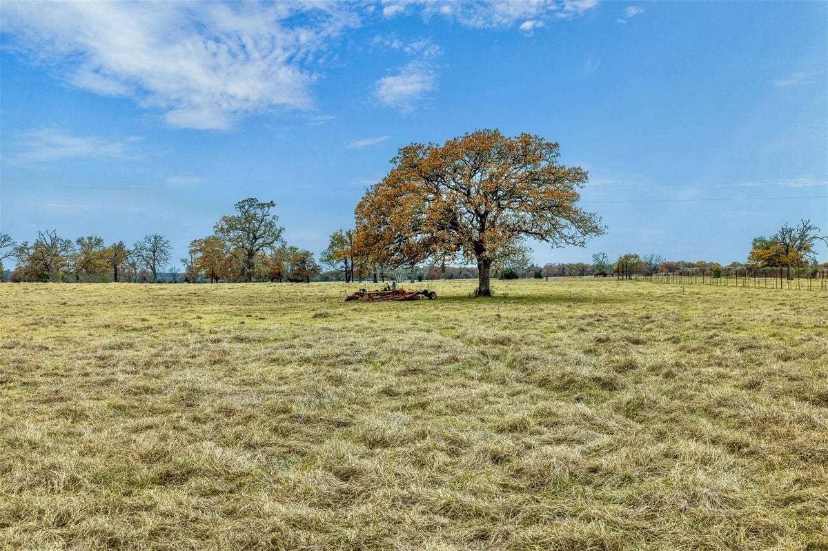 View 2150 Cr 412 in A211 2150 Cr 412 - front exterior - Luxury home in A211, Lexington, TX