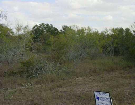 21623 Blake-manor RD - front exterior - Luxury lot in Manor, TX