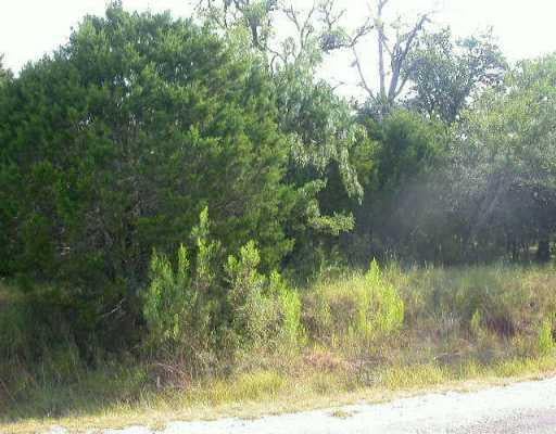 View 21808 O'NEILL Ave 21808 O'NEILL Ave - front exterior - Luxury lot in Lago Vista, TX