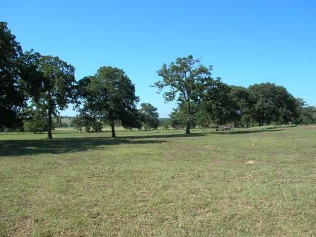 View 2191 County Road 320 2191 County Road 320 - front exterior - Luxury home in Lexington, TX