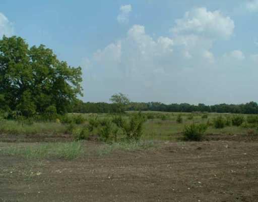 View 220 Neal DR 220 Neal DR - front exterior - Luxury lot in Liberty Hill, TX