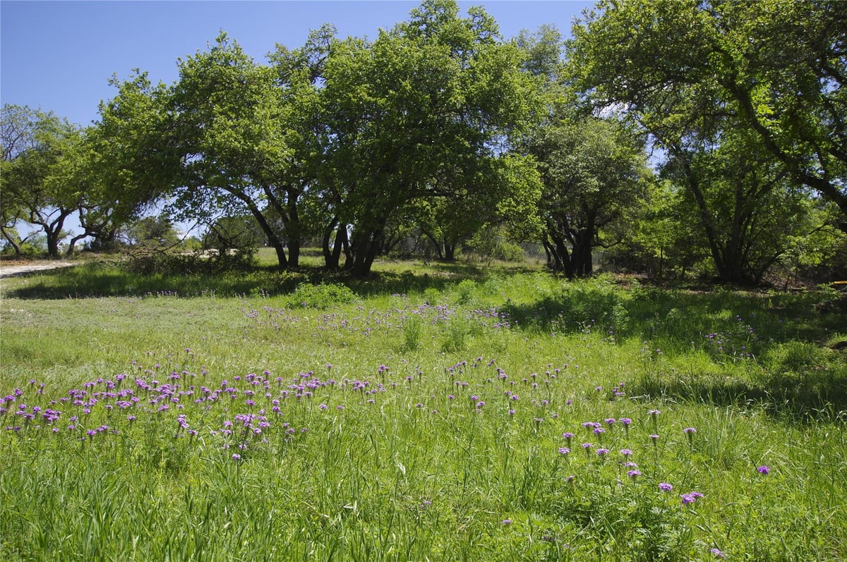 View 22007 Nameless Rd in Honeycomb Hills 22007 Nameless Rd - property photo 1 - Luxury lot in Honeycomb Hills, Leander, TX