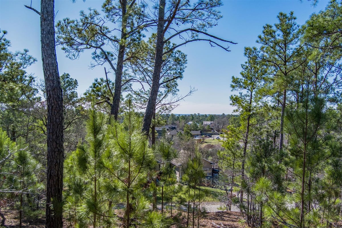 View 222 Makaha Dr in Tahitian Village 222 Makaha Dr - front exterior - Luxury lot in Tahitian Village, Bastrop, TX