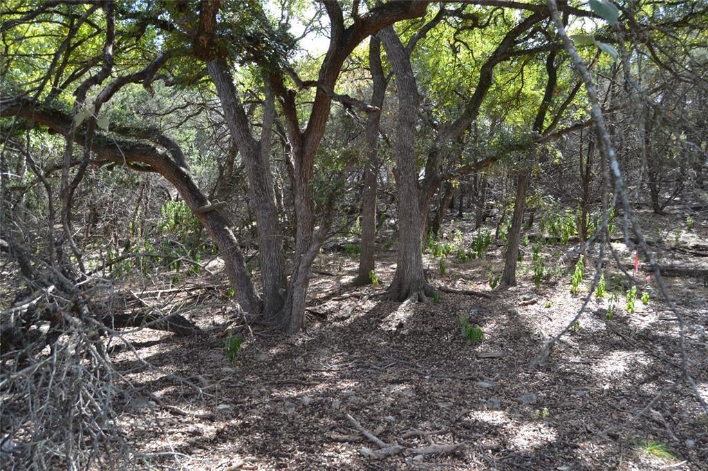 Primary bedroom at 223 Pleasant Valley Rd - Woodcreek Sec 9-A, Wimberley, TX