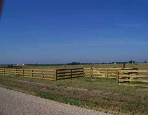 View 225 County Road 148 225 County Road 148 - front exterior - Luxury home in Weir, TX