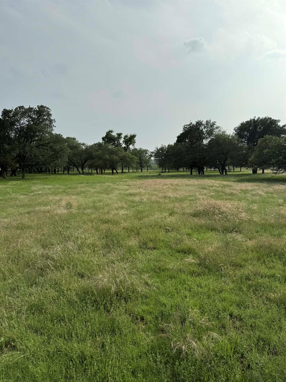 2251 County Road 234 LN - property photo 1 - Luxury lot in Liveoak Park, Georgetown, TX