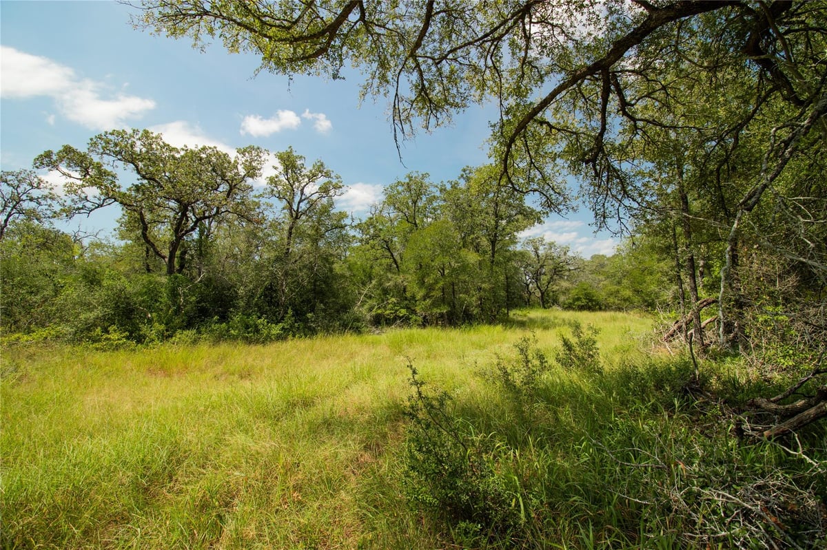 View 2252 Bluestem Crest Ln in Nash Creek Ranches 2252 Bluestem Crest Ln - property photo 1 - Luxury home in Nash Creek Ranches, Seguin, TX