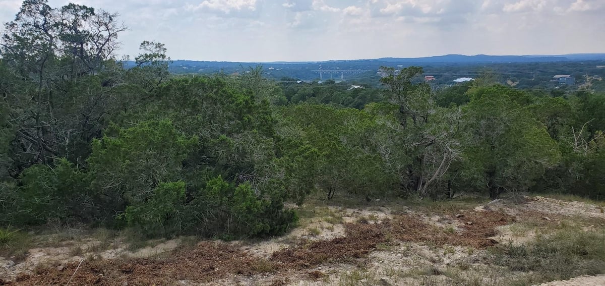 View 2303 Pace Bend Rd S in Collier J A 2303 Pace Bend Rd S - front exterior - Luxury lot in Collier J A, Spicewood, TX