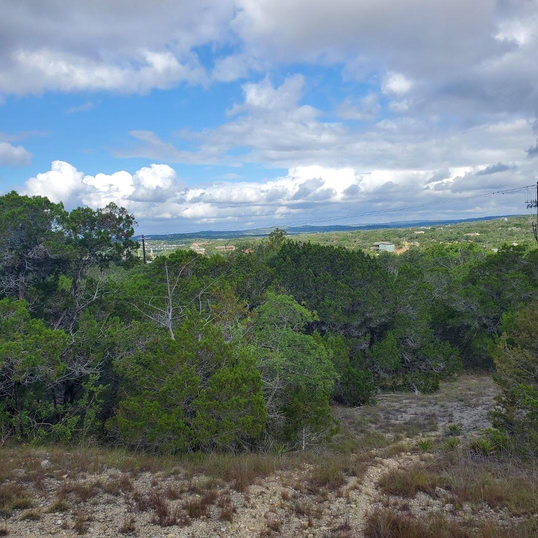 Primary bedroom at 2303 Pace Bend Rd S - Collier J A, Spicewood, TX