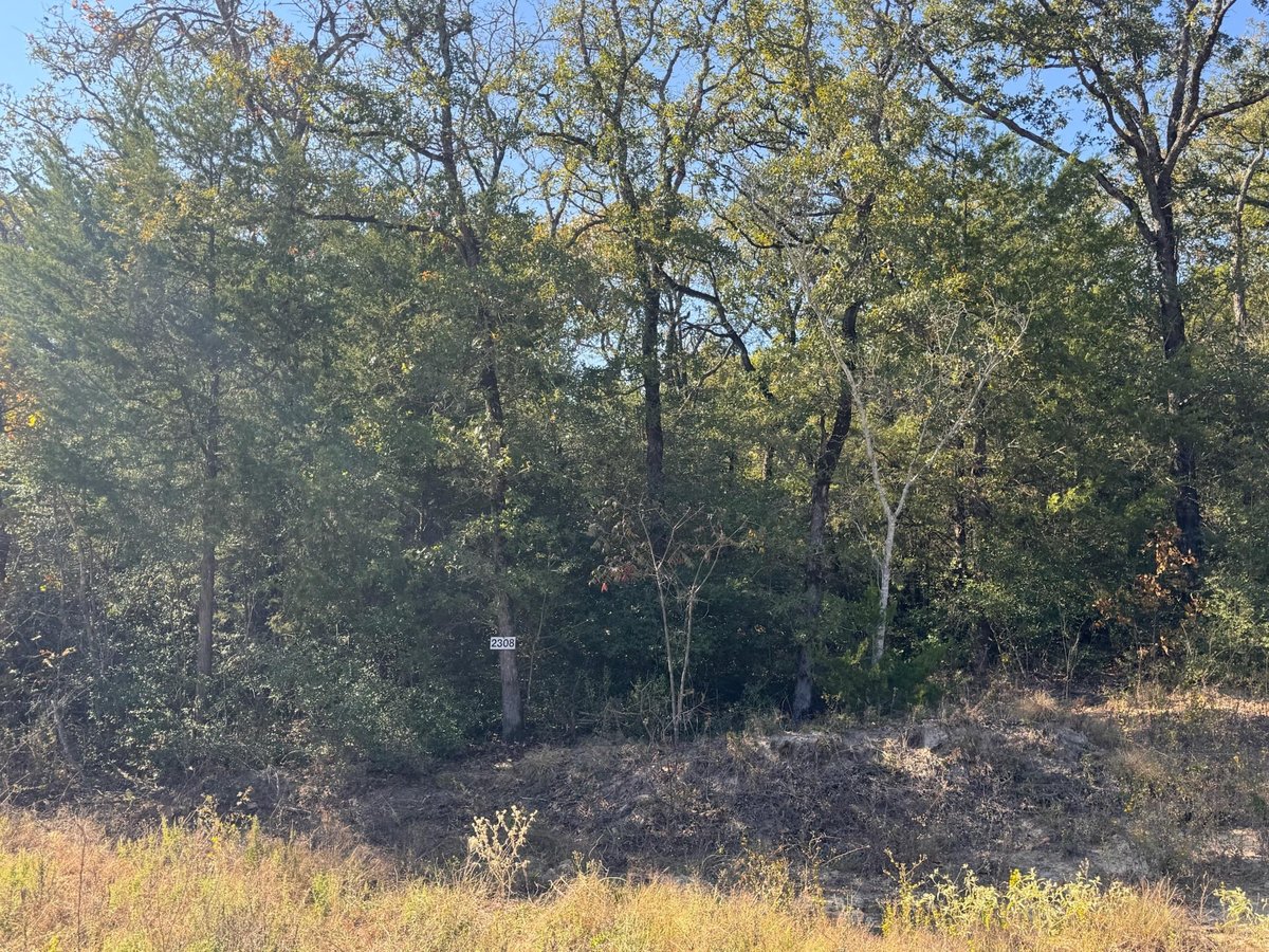 View 2308 Myrtle Ln in Dorner Add Tr 2 2308 Myrtle Ln - front exterior - Luxury lot in Dorner Add Tr 2, Cameron, TX