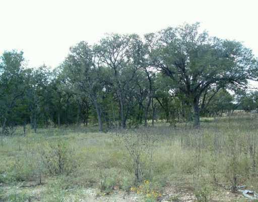 View 231 Neal 231 Neal - front exterior - Luxury lot in Liberty Hill, TX