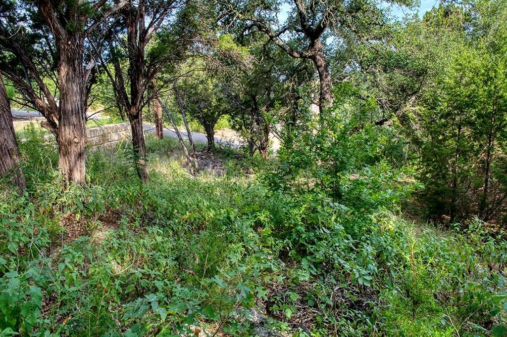 View 2313 Red Fox Rd in Apache Shores Sec 02 2313 Red Fox Rd - front exterior - Luxury lot in Apache Shores Sec 02, Austin, TX
