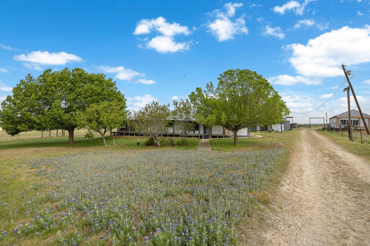 View 2351 County Road 487 in ZARA 2351 County Road 487 - front exterior - Luxury home in ZARA, Taylor, TX