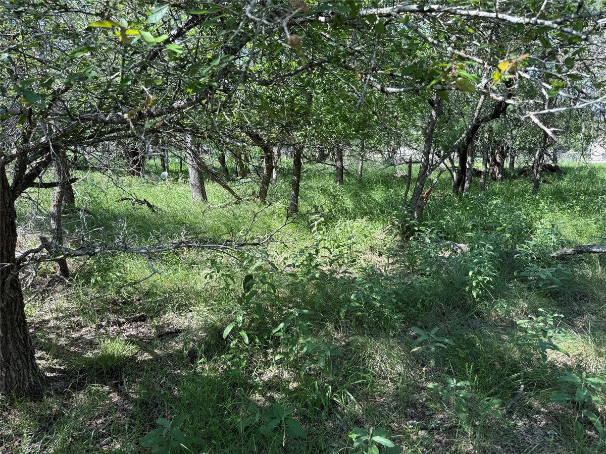 View 236 Mokulua LN in Tahitian Village, 236 Mokulua LN - property photo 1 - Luxury lot in Tahitian Village,, Bastrop, TX