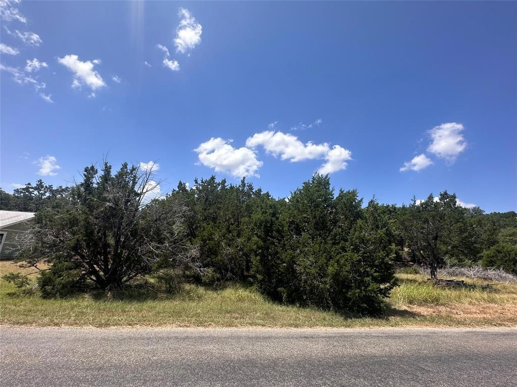View 237 Pleasant Valley Rd in Woodcreek Sec 9-A 237 Pleasant Valley Rd - front exterior - Luxury lot in Woodcreek Sec 9-A, Wimberley, TX
