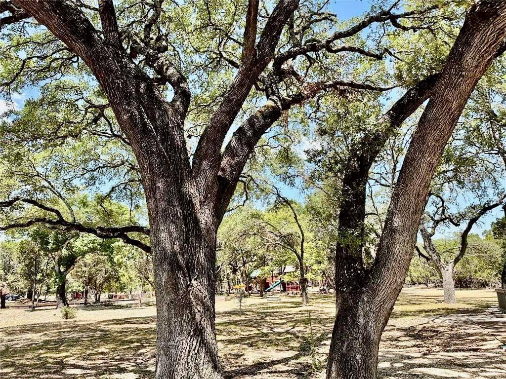 Primary bedroom at 237 Pleasant Valley Rd - Woodcreek Sec 9-A, Wimberley, TX