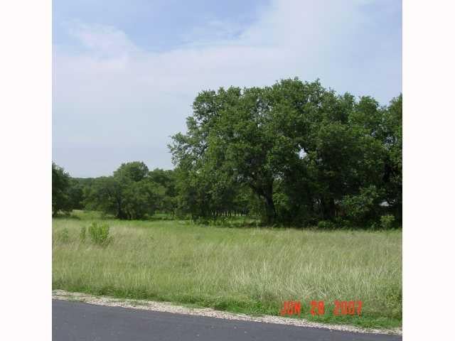 View 239 Little Gabriel River DR 239 Little Gabriel River DR - front exterior - Luxury lot in Liberty Hill, TX