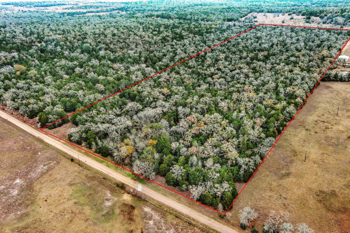 View 24 acres CR 332 RD in Marshall, Elias 24 acres CR 332 RD - property photo 1 - Luxury home in Marshall, Elias, Paige, TX
