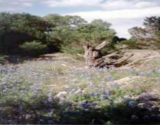 View 24002 Fossil Trl 24002 Fossil Trl - front exterior - Luxury lot in Spicewood, TX