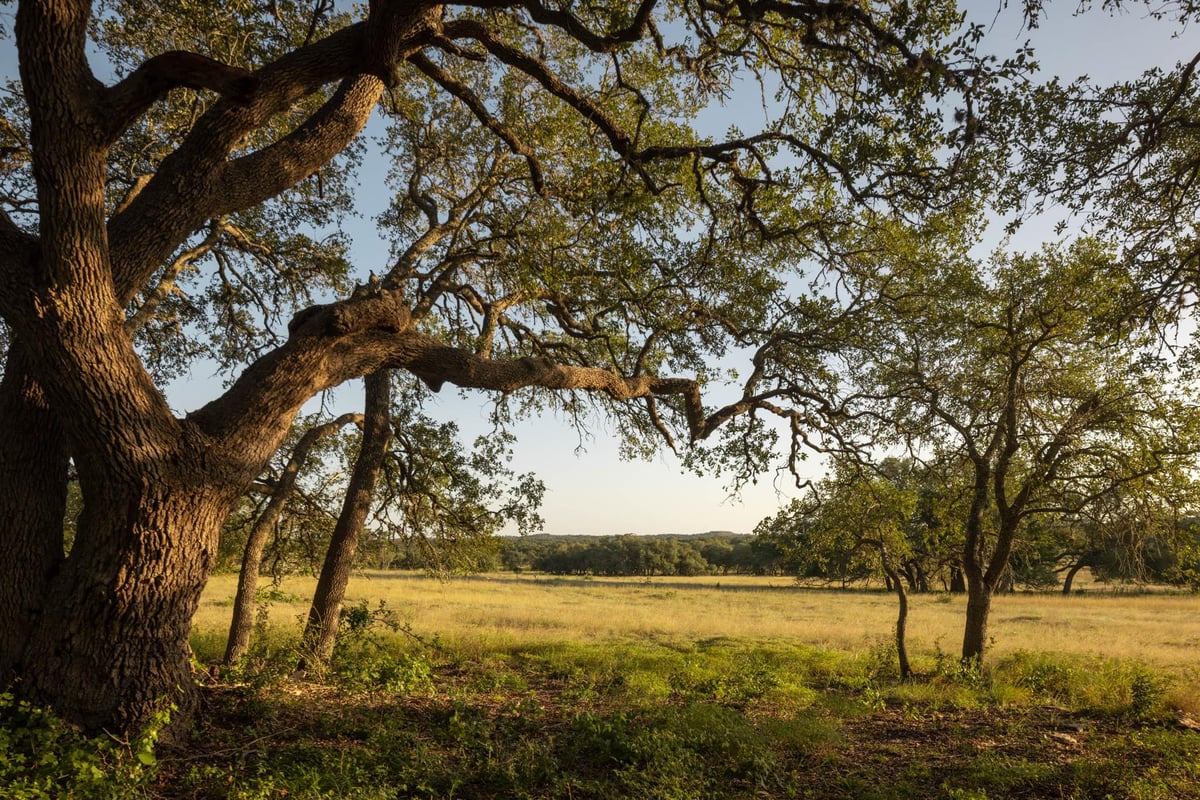View 2427 Prochnow RD in Dripping Springs 2427 Prochnow RD, photo 1 of 6, Dripping Springs, Dripping Springs, TX